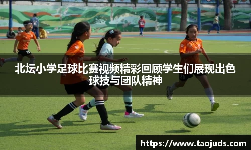 bsports体育