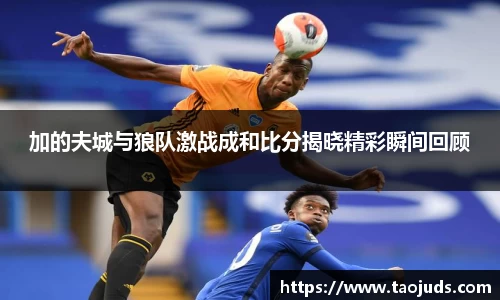 加的夫城与狼队激战成和比分揭晓精彩瞬间回顾