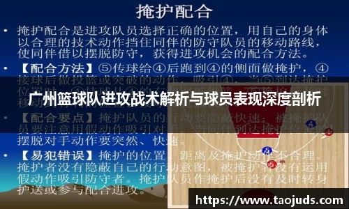 bsports官方网站