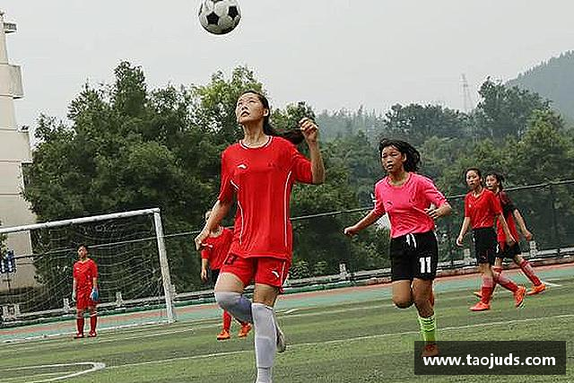 发现bsports